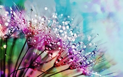 ≪レイキ≫セルフヒーリングでより、心は穏やかに♡大宇宙を感じながら、小宇宙を生きる☆