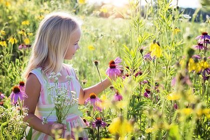 太陽は牡牛座へ◆キーワードはＩｈａｖｅ◆あなたは何があったら、幸せ？