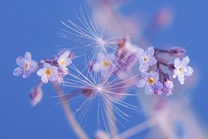 地の時代が象徴する重いものを手放し、風の時代に向けて身軽さや柔軟さを取り入れる