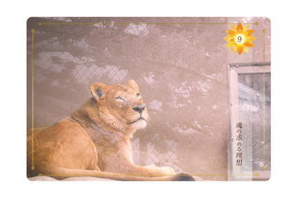 ≪Beアップオリジナル☆オラクルカード≫今日のあなたに送るメッセージは「魂の求める理想」＆「使命に気づくタイミング」