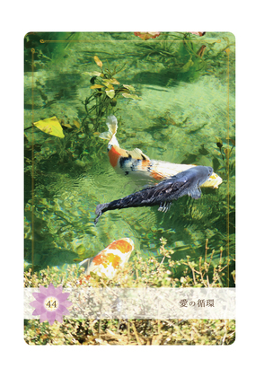 ≪Beアップオリジナル☆オラクルカード≫今日のあなたに送るメッセージは「愛の循環」＆「使命に気づくタイミング」＆「気持ちの一致」