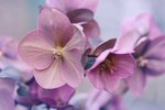 天体の移り変わりと、妄想レベルアップのすすめ★