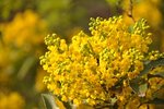 立春までに……自分を整え、浄化をしっかり☆