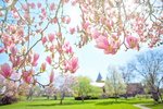 振り幅の大きな2020年★ダメージは強さになって返ってくる♡