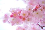 ご予約承り中！！！【春のウキウキ♡Ｂｅアップイベント】ＩＮ夙川