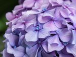 7/17（金）14：00〜15：30　レイキ交流会　開催します★