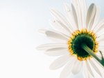 ゴールへの扉は開いていますか？　
