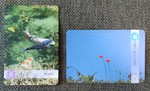 ≪Beアップオリジナル☆オラクルカード≫今日のあなたに送るメッセージは「愛の循環」＆「思考の一致　ビジネスの契約」