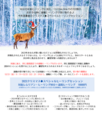 ★12月のヒーリングキャンペーンは対面と遠隔セットのコースです★